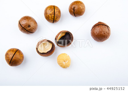 Macadamia nut white background Macadamia nut white background 44925152