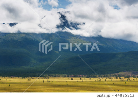 Scenic view of the snow-coverede in the Altai  44925512