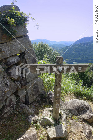 津和野(津和野城) 津和野(津和野城) 44925607