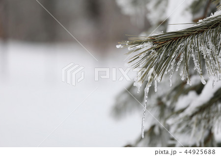 韓国 自然 風景 44925688