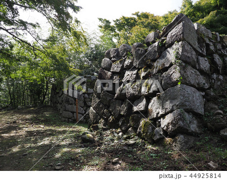 津和野(津和野城) 44925814