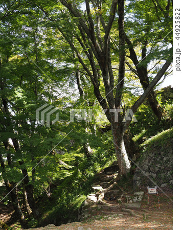 津和野(津和野城) 44925822