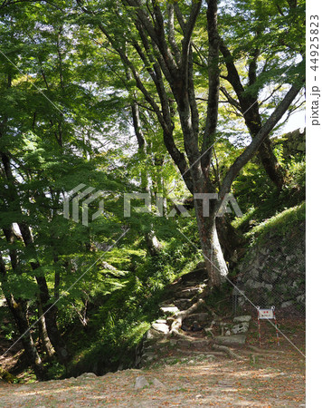 津和野(津和野城) 44925823