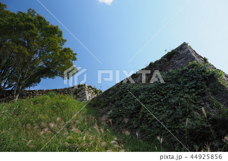 津和野(津和野城) 44925856