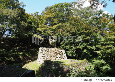 津和野(津和野城) 津和野(津和野城) 44925863