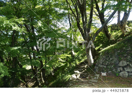 津和野(津和野城) 44925878