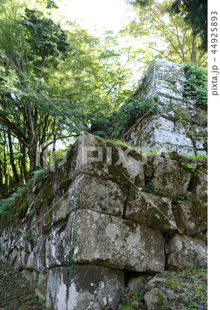 津和野(津和野城) 44925893
