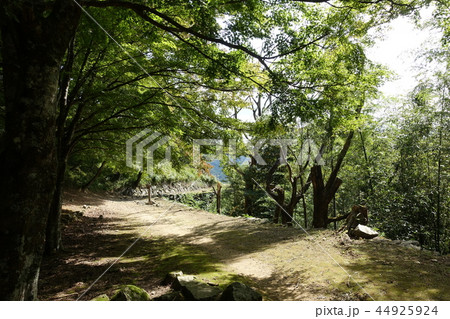 津和野(津和野城) 津和野(津和野城) 44925924