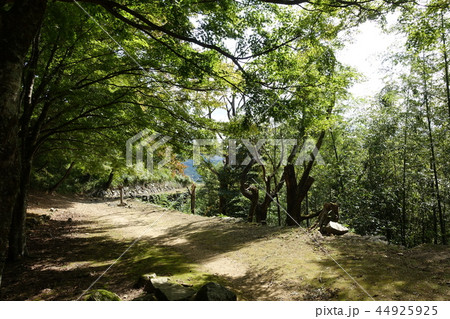 津和野(津和野城) 44925925