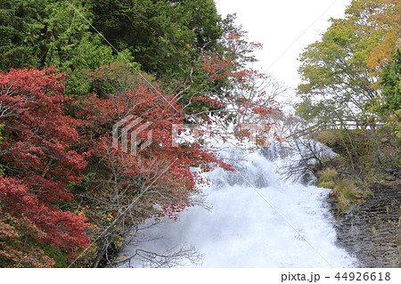 奥日光の紅葉 湯滝 奥日光の紅葉 湯滝 44926618