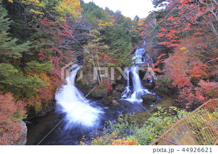 奥日光の紅葉 竜頭の滝 奥日光の紅葉 竜頭の滝 44926621