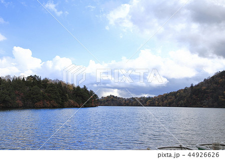 奥日光の紅葉 湯の湖 奥日光の紅葉 湯の湖 44926626