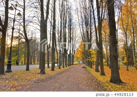 Alley in park at autumn. 44928113