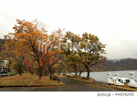 十和田湖の紅葉風景（青森県） 44929209