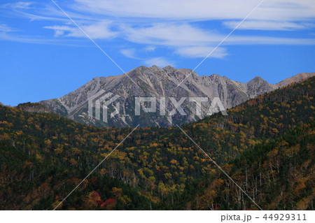アルプス塩見岳　山頂への道 鳥倉ルートからの農鳥岳遠景　 44929311