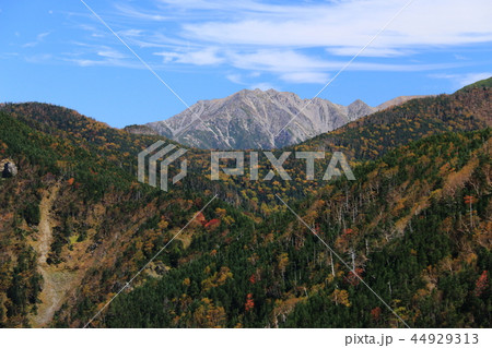 アルプス塩見岳　山頂への道 鳥倉ルートからの農鳥岳遠景　 44929313