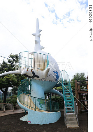 東調布公園 東調布公園 44929351