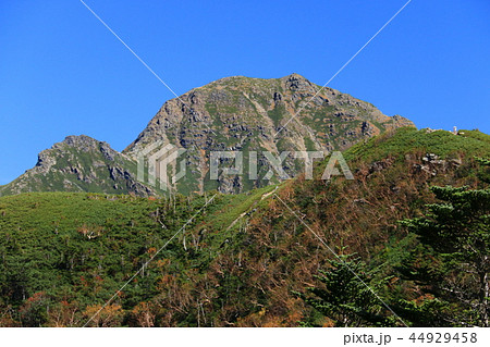 南アルプス塩見岳　山頂への道　三伏峠小屋からの塩見岳山頂遠景 44929458