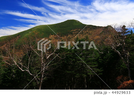 南アルプス塩見岳山頂への道　三伏峠から塩見岳の展望台烏帽子岳へ 44929633