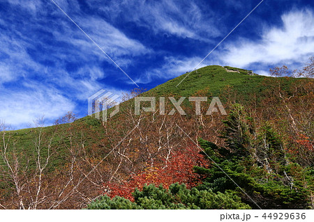 南アルプス塩見岳山頂への道 三伏峠から塩見岳の展望台烏帽子岳へ 南アルプス塩見岳山頂への道 三伏峠から塩見岳の展望台烏帽子岳へ 44929636