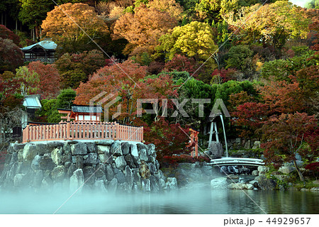 霧に囲まれる紅葉 ~勝尾寺~ 霧に囲まれる紅葉 ~勝尾寺~ 44929657