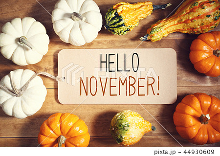 Hello November message with collection of pumpkins Hello November message with collection of pumpkins 44930609