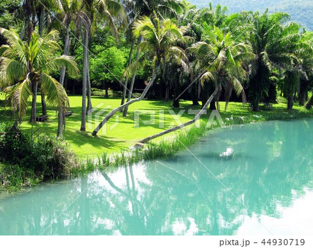 湖面 反射 反映 44930719