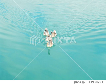 湖面 反射 反映 44930721