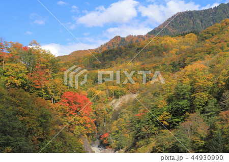秋山郷の秋　切明の中津川渓谷 44930990