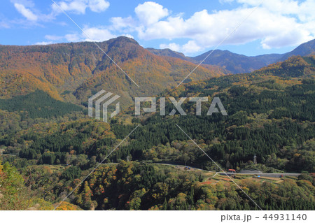 秋山郷の秋　中津川右岸県境付近 44931140