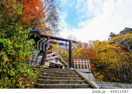 戸隠神社奥社鳥居 戸隠神社奥社鳥居 44931487
