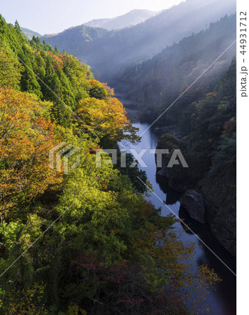 紅葉と神通峡(片路峡)富山県 紅葉と神通峡(片路峡)富山県 44931712