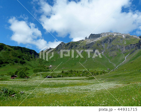 花の谷ブルーメンタール 44931715