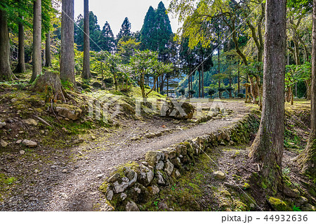 諏訪館跡庭園 一乗谷朝倉氏遺跡 諏訪館跡庭園 一乗谷朝倉氏遺跡 44932636