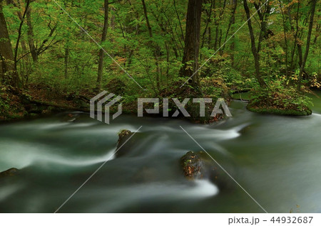 奥入瀬渓流 44932687