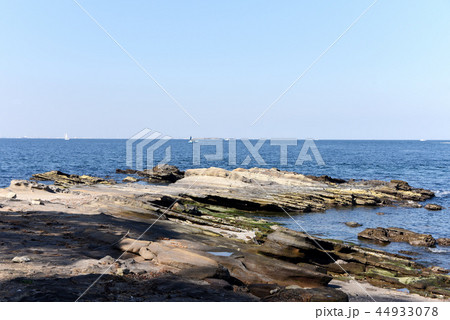 観音崎海岸 観音崎海岸 44933078