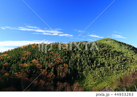 南アルプス塩見岳山頂への道 烏帽子岳登山道から見た三伏山 南アルプス塩見岳山頂への道 烏帽子岳登山道から見た三伏山 44933263