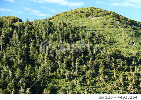 南アルプス塩見岳山頂への道　烏帽子岳登山道から見た三伏山　 44933264