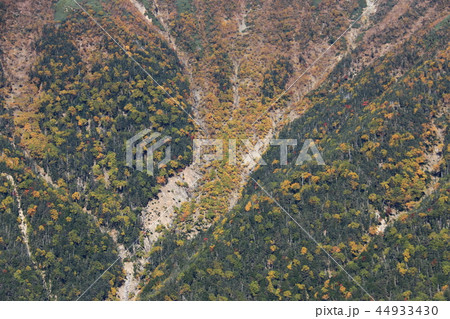 南アルプス塩見岳山頂への道　秋　烏帽子岳から望む紅葉の谷　 44933430