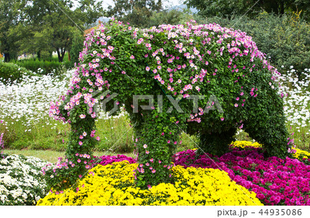 花 試合 横 44935086