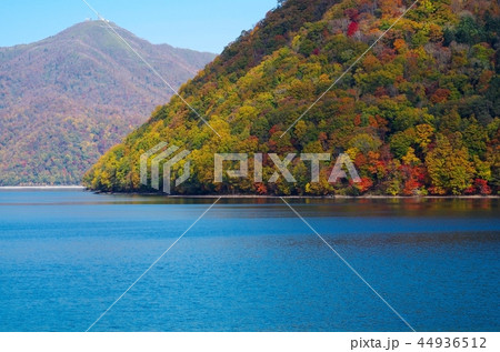 紅葉真っ盛りの支笏湖 44936512