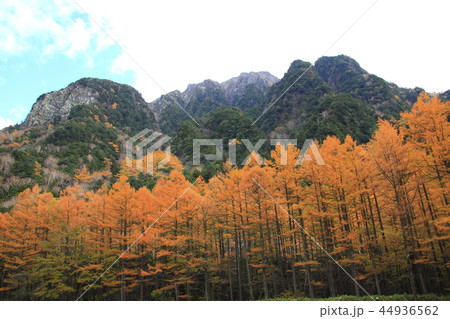 秋の上高地 44936562