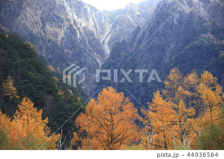 秋の上高地 秋の上高地 44936564