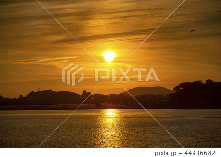 始華湖 湖 風景 44936682