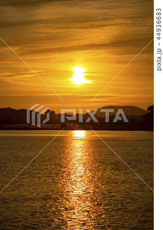 始華湖 湖 風景 44936683