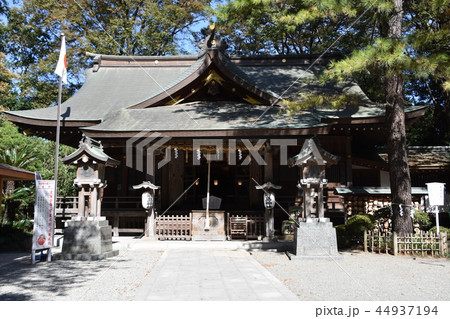 平塚市 前鳥神社 平塚市 前鳥神社 44937194