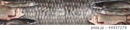 river fish, photo collage 44937279