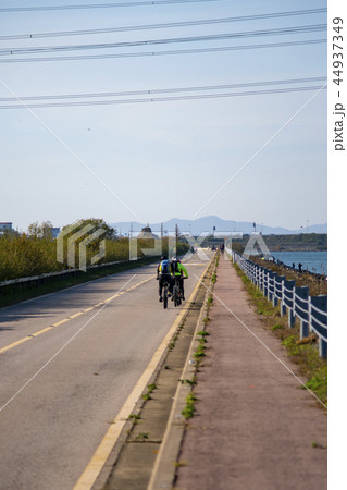 始華湖 安山市 京畿道 44937349