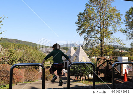 茨城県フラワーパーク 44937641
