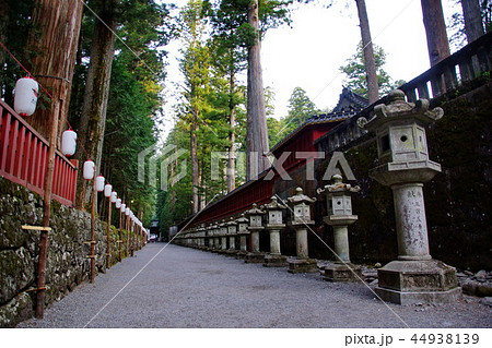 日光東照宮 上神道 龍道 日光二荒山神社への参道 栃木県 日光市 の写真素材